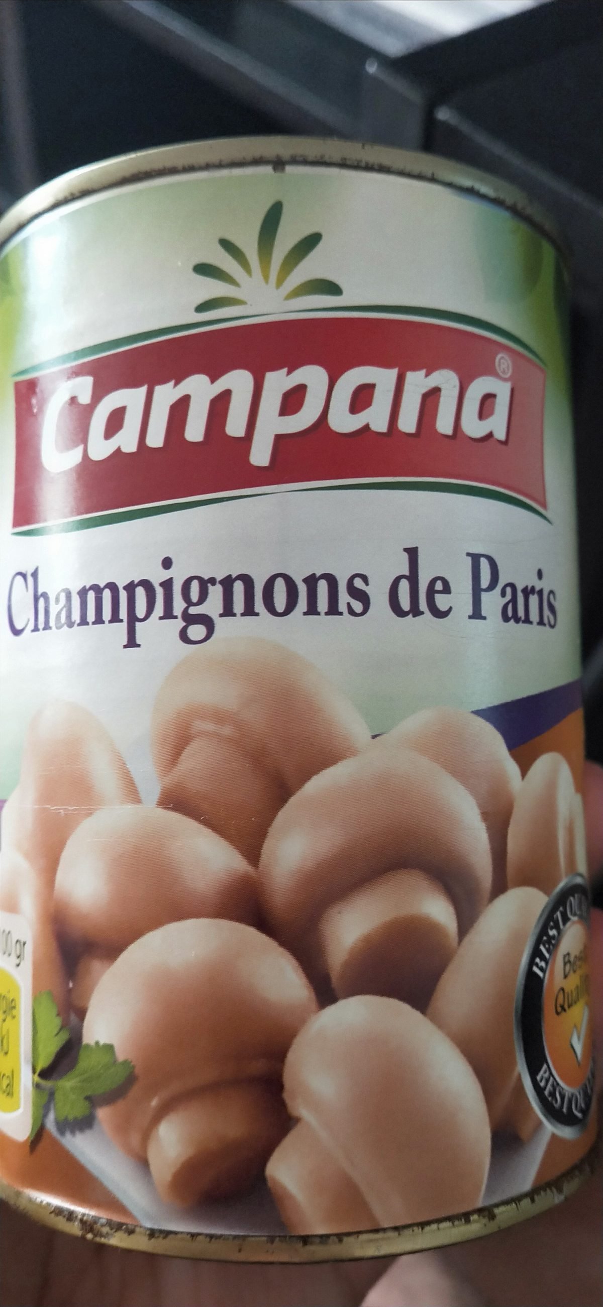 COMPANA CHAMPIGNON ENTIER 314GR *12