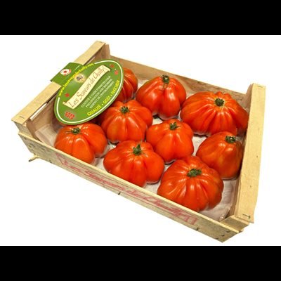 ELA SEAU SAUCE TOMATE 3.5KG