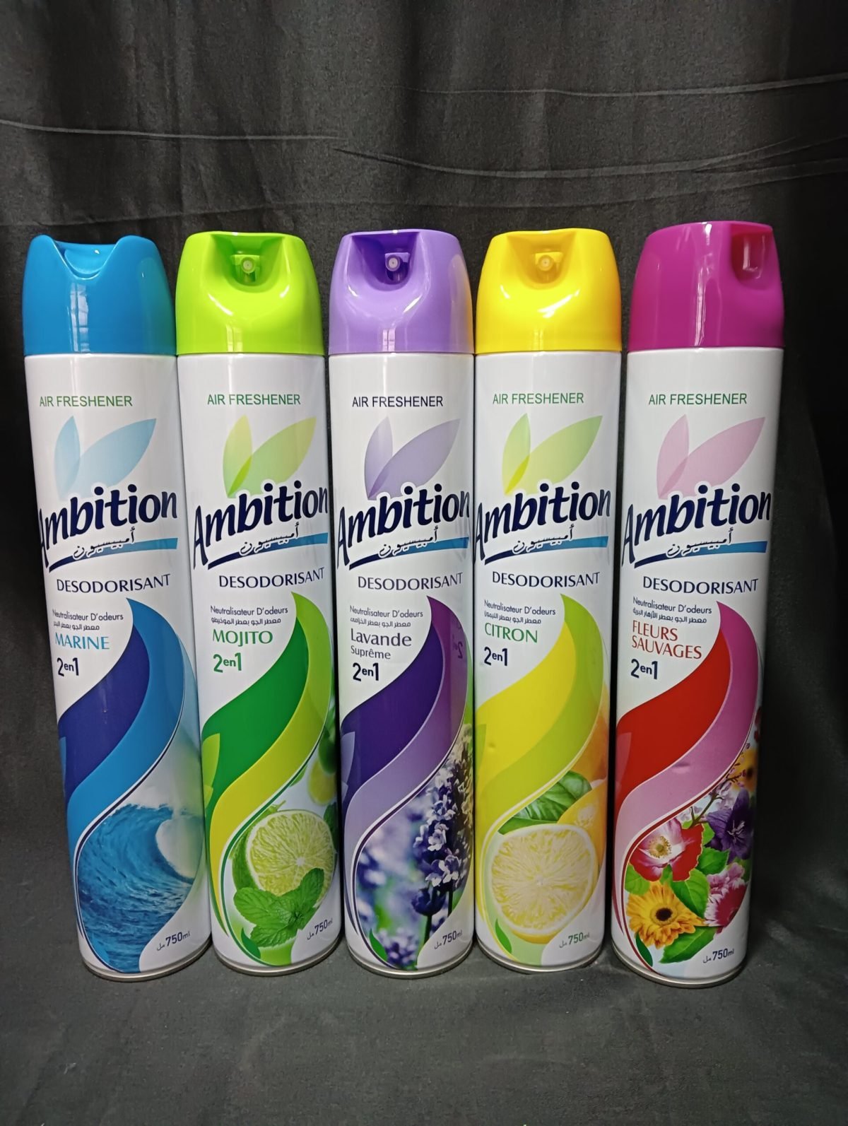 AMBITION DESODORISANT 2EN1 300ML *24