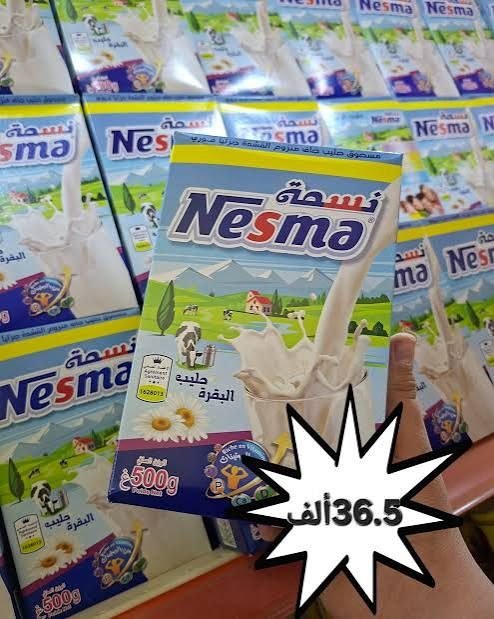 NESMA LAIT 500G *12