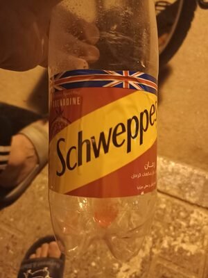 SCHWEPS BOISSON 1L *8